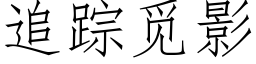 追踪觅影 (仿宋矢量字库)