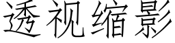 透视缩影 (仿宋矢量字库)