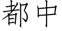 都中 (仿宋矢量字库)