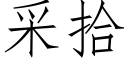 采拾 (仿宋矢量字库)