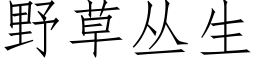 野草丛生 (仿宋矢量字库)