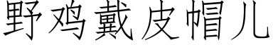 野雞戴皮帽兒 (仿宋矢量字庫)