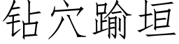 钻穴踰垣 (仿宋矢量字库)