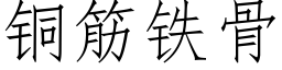 銅筋鐵骨 (仿宋矢量字庫)