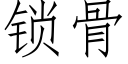 锁骨 (仿宋矢量字库)