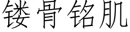 镂骨銘肌 (仿宋矢量字庫)