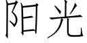 陽光 (仿宋矢量字庫)