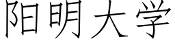 陽明大學 (仿宋矢量字庫)