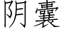 陰囊 (仿宋矢量字庫)