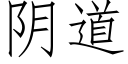 陰道 (仿宋矢量字庫)