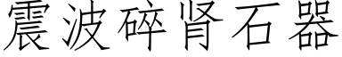 震波碎腎石器 (仿宋矢量字庫)