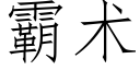 霸術 (仿宋矢量字庫)