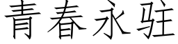 青春永駐 (仿宋矢量字庫)