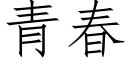 青春 (仿宋矢量字庫)