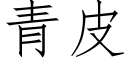 青皮 (仿宋矢量字库)