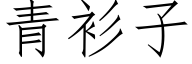 青衫子 (仿宋矢量字庫)