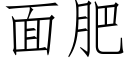 面肥 (仿宋矢量字庫)