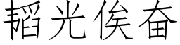 韬光俟奮 (仿宋矢量字庫)