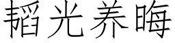 韬光养晦 (仿宋矢量字库)