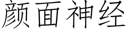 顔面神經 (仿宋矢量字庫)