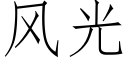 风光 (仿宋矢量字库)