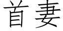 首妻 (仿宋矢量字库)