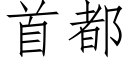 首都 (仿宋矢量字庫)