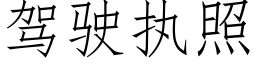 駕駛執照 (仿宋矢量字庫)