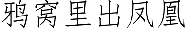 鸦窝里出凤凰 (仿宋矢量字库)