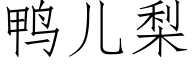 鸭儿梨 (仿宋矢量字库)