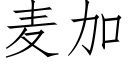 麥加 (仿宋矢量字庫)