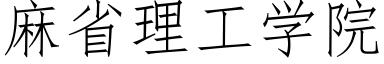 麻省理工學院 (仿宋矢量字庫)