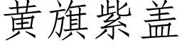 黃旗紫蓋 (仿宋矢量字庫)