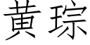 黃琮 (仿宋矢量字庫)