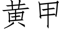 黃甲 (仿宋矢量字庫)