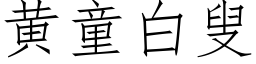 黃童白叟 (仿宋矢量字庫)