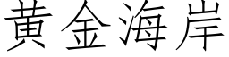 黄金海岸 (仿宋矢量字库)