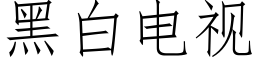 黑白電視 (仿宋矢量字庫)