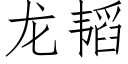 龙韬 (仿宋矢量字库)