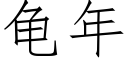 龜年 (仿宋矢量字庫)