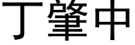 丁肇中 (黑体矢量字库)