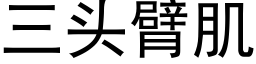 三頭臂肌 (黑體矢量字庫)