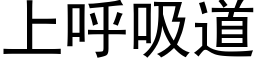 上呼吸道 (黑體矢量字庫)