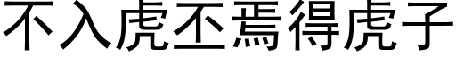 不入虎丕焉得虎子 (黑體矢量字庫)