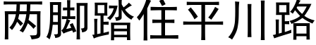 两脚踏住平川路 (黑体矢量字库)