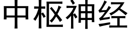 中枢神经 (黑体矢量字库)