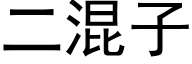 二混子 (黑體矢量字庫)