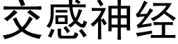 交感神經 (黑體矢量字庫)