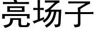 亮場子 (黑體矢量字庫)