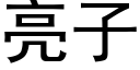 亮子 (黑體矢量字庫)